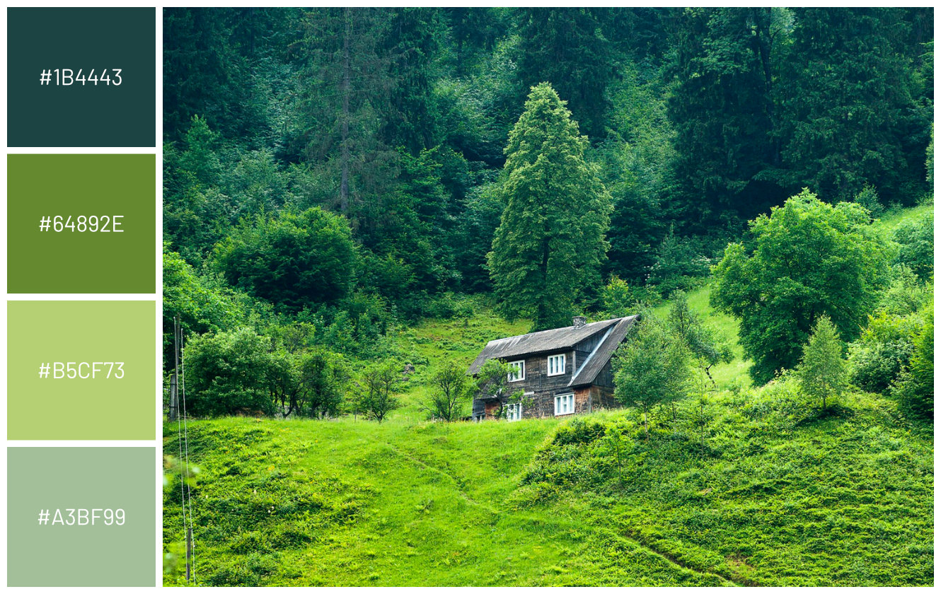 mountain log wood cabin surrounded by ever green trees